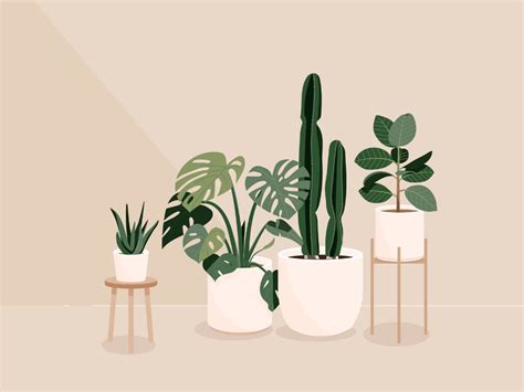 Plants | Cactus illustration, Plant drawing, Plant illustration