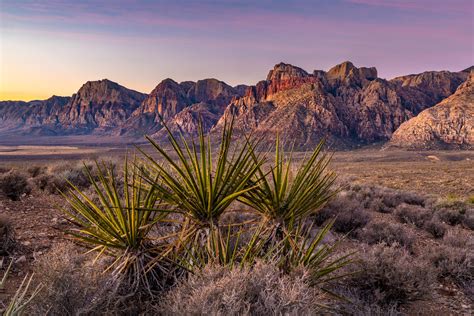 Tranquil Sunrise, Red Rock Canyon, Las Vegas, NV, USA [6996 × 4669] [OC] : r/EarthPorn