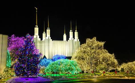 Stunning Photos of the Festival of Lights at the Washington, D.C. Temple Grounds | Meridian ...