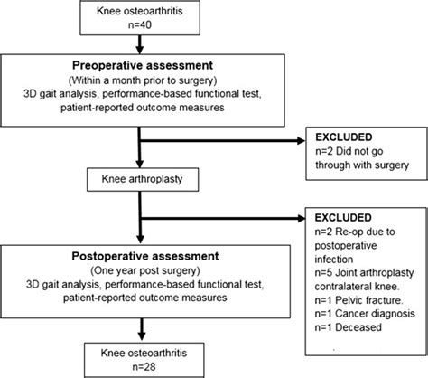 Pathophysiology Of Osteoarthritis Diagram