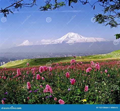 Mount Ararat Royalty-Free Stock Photo | CartoonDealer.com #25300863