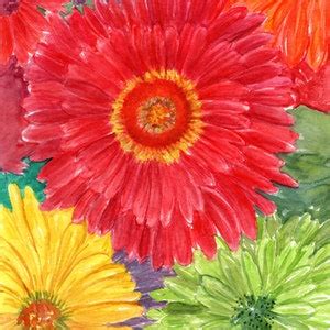 Gerber Daisy Watercolor Painting Original, Flowers 8 X 10, - Etsy