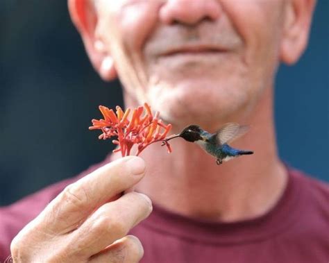 The Five Smallest Birds in The World — Steemit