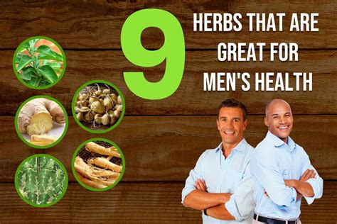 9 herbs that are great for men's health - Sidomex Entertainment