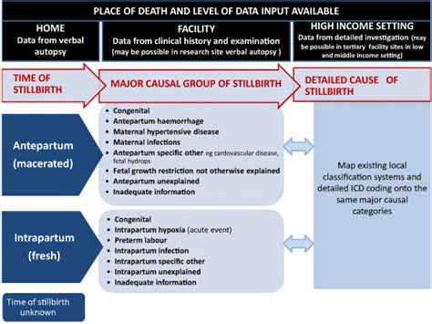 Consistent classification for causes of stillbirths. Source:... | Download Scientific Diagram