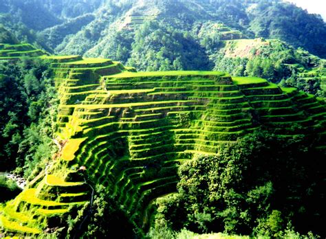 Mountain of Rice | These rice terraces that follow the conto… | Flickr