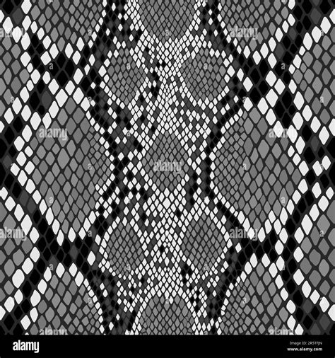 Seamless snake skin pattern. Vector exotic african animal texture Stock Vector Image & Art - Alamy