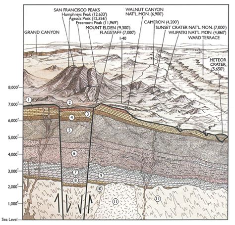 Cross section of Colorado Plateau centered on Flagstaff, Arizona | AZGS