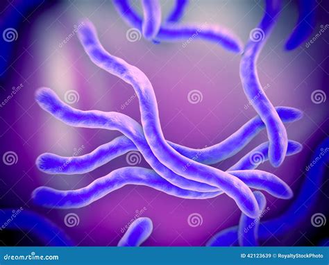 Borrelia Burgdorferi Stock Illustration - Image: 42123639