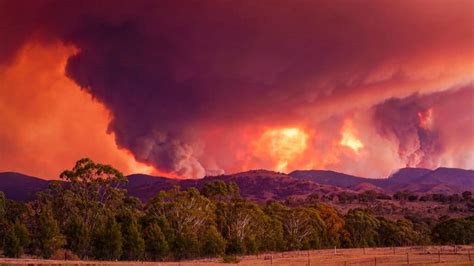 Australia fires: Canberra escapes worst as fires rage on - Equity Insider