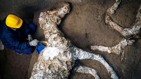 Petrified horse remains found in stable near Pompeii | Fox News