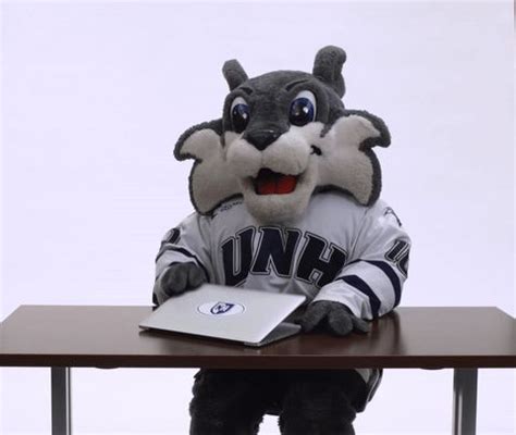 UNH mascot Wild E Cat typing away, getting the job done via GIPHY [Video] | University of new ...