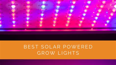 Best Solar Powered Grow Lights for 2024 - Effective Lights for Indoor ...