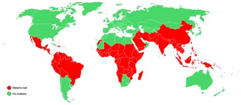 The Intersection of Health Sciences and Geography - Geography Realm