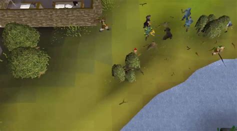 OSRS: What’s The Best Willow Tree Spot? (F2P + P2P) – FandomSpot