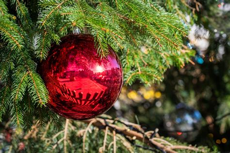 Christmas Ball Decorations Free Stock Photo - Public Domain Pictures