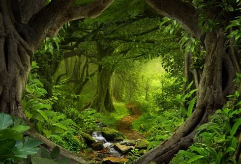 Aliexpress.com : Buy Laeacco Green Forest Old Trees Waterflow Path Scenic Photography Backdrops ...