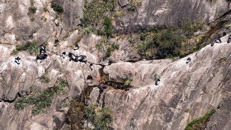 Colca Canyon Condors | Blog Machu Travel Peru