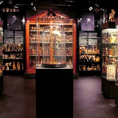 around the world : 7 Strange Museums in Amsterdam