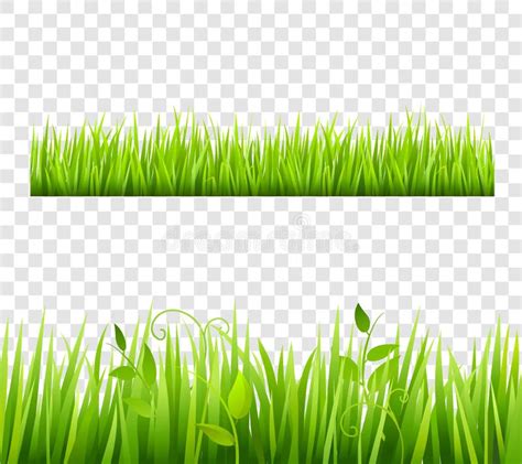 Grass Border Tileable Transparent Stock Vector - Illustration: 58487198