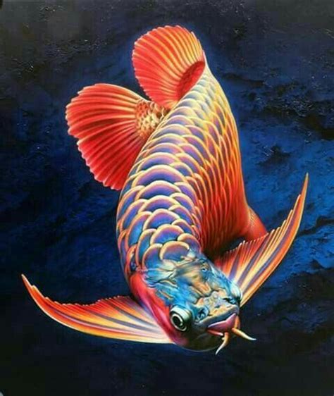Ikan Arwana Pretty Fish, Beautiful Fish, Beautiful Sea Creatures, Animals Beautiful, Colorful ...