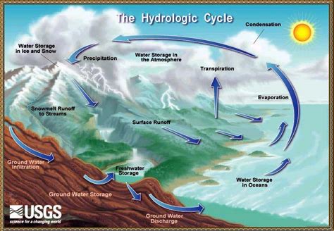 Hydrologic Cycle - Science Olympiad Student Center Wiki