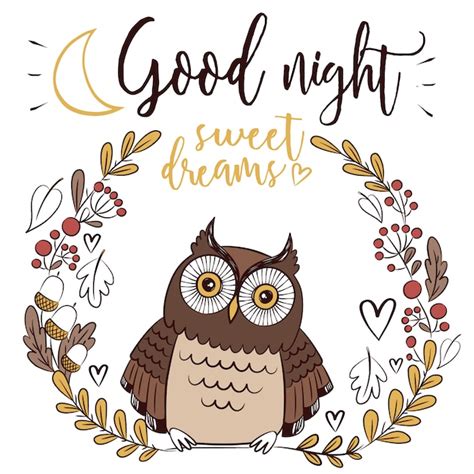 Good night background with owl Vector | Free Download