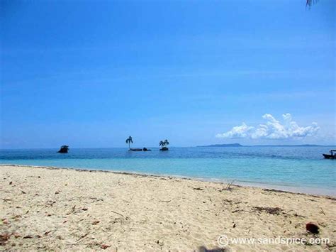 Bocas Del Toro Snorkeling Tours, Panama 🤿🐙🐬🐠 Worth the cost?