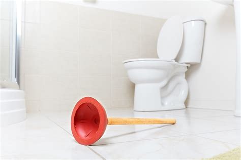 Did Your Toilet Overflow? The Top Tips to Follow