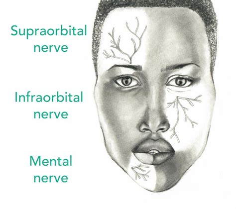 PEM Pearls: Regional Facial Nerve Blocks | MED-TAC International Corp.