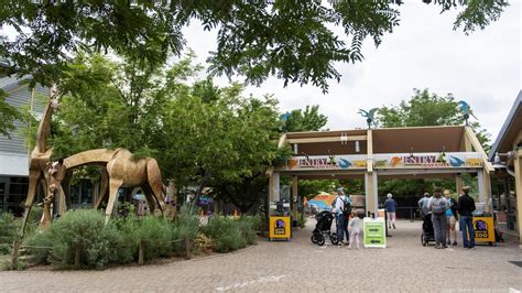 Denver Zoo finds its new normal in keeping timed ticketing limits - Denver Business Journal