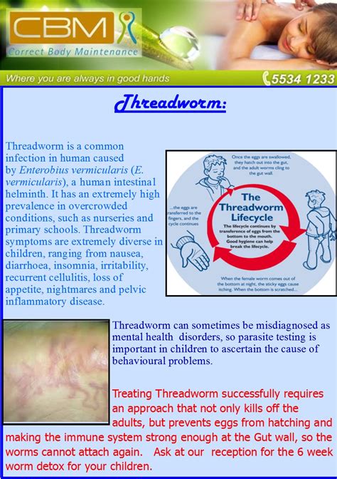 Threadworm | Correct Body Maintenance