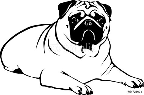 Simple Pug Drawing at GetDrawings | Free download