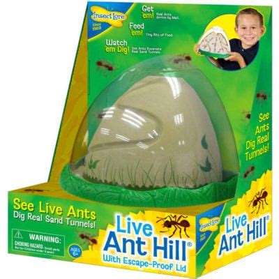 Live Ant Hill Habitat by Insect Lore | Planet Natural