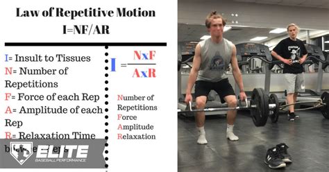 4 Considerations for In-Season Baseball Strength Training - Elite ...