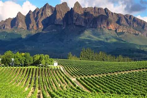 The BEST Franschhoek Tours and Things to Do in 2022 - FREE Cancellation | GetYourGuide