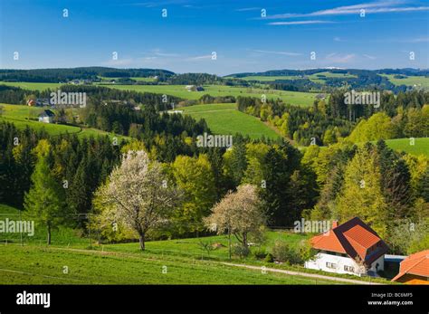 St Margen Baden Wurttemberg Schwarzwald Black Forest Germany Stock ...