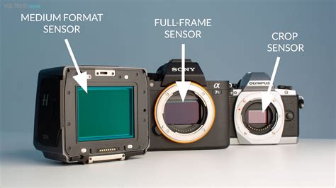 Full-Frame vs Crop Sensor: What’s the Difference? | Visual Education