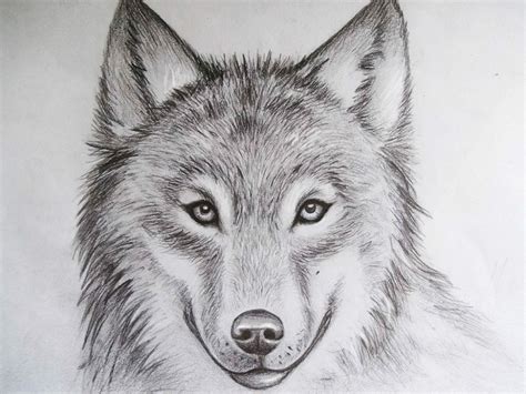 Resultado De Imagen Para Dibujos A Lapiz Lobo Dibujo A Lapiz Lobos A | My XXX Hot Girl