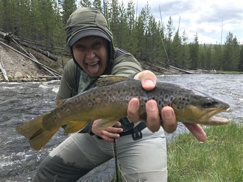 Summer fishing season has begun in Yellowstone! — Yellowstone River Outfitters