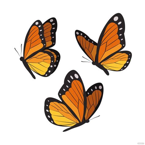 FREE Butterfly Vector - Image Download in Illustrator, EPS, SVG, JPG ...