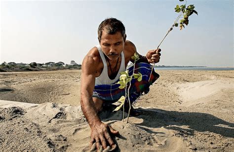 Jadav Payeng - The Forest Man Of India Who Single-Handedly Created 1360 ...