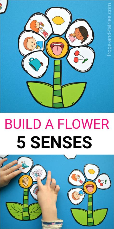 Build a Flower 5 Senses Match - Frogs and Fairies | Senses preschool, Teaching kids, Preschool ...