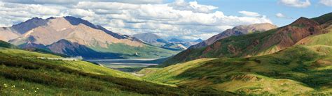 Denali National Park & Wild Alaska Cruise | EF Go Ahead Tours