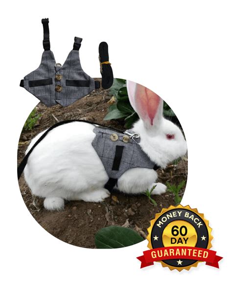 Rabbit Harness