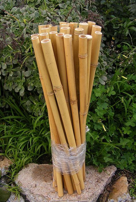 Natural Bamboo Poles Garden Stakes 25 Pieces Craft Art | Etsy