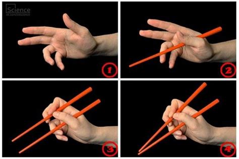 How To Hold Chopsticks Like A Korean - HowTo