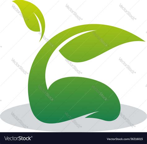 Eaf creative concept logo design template Vector Image