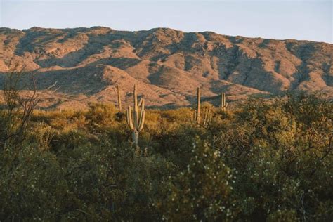 11 Best Tucson Hiking Trails