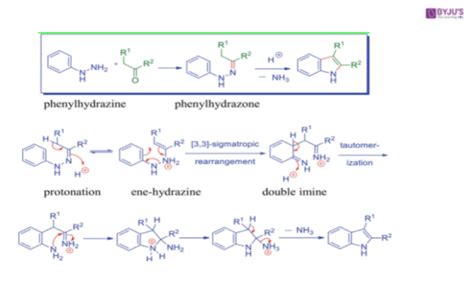 ‌Fischer Indole Synthesis - Definition, Reaction, Mechanism & Drawbacks ...